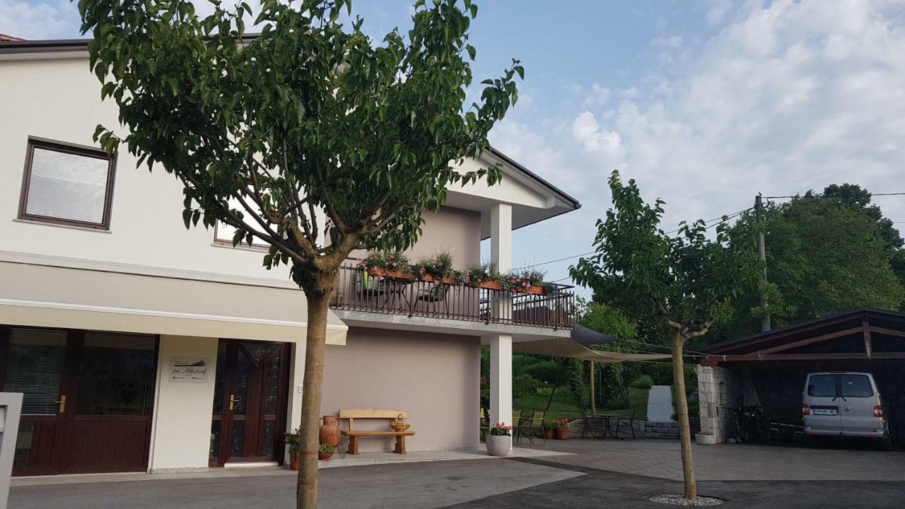 Guesthouse Pri Mihelovih Сежана Екстер'єр фото