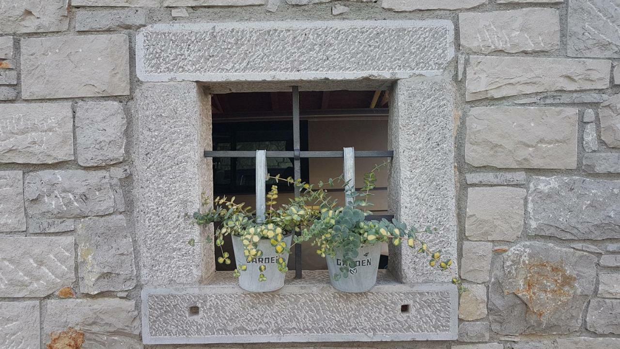 Guesthouse Pri Mihelovih Сежана Екстер'єр фото