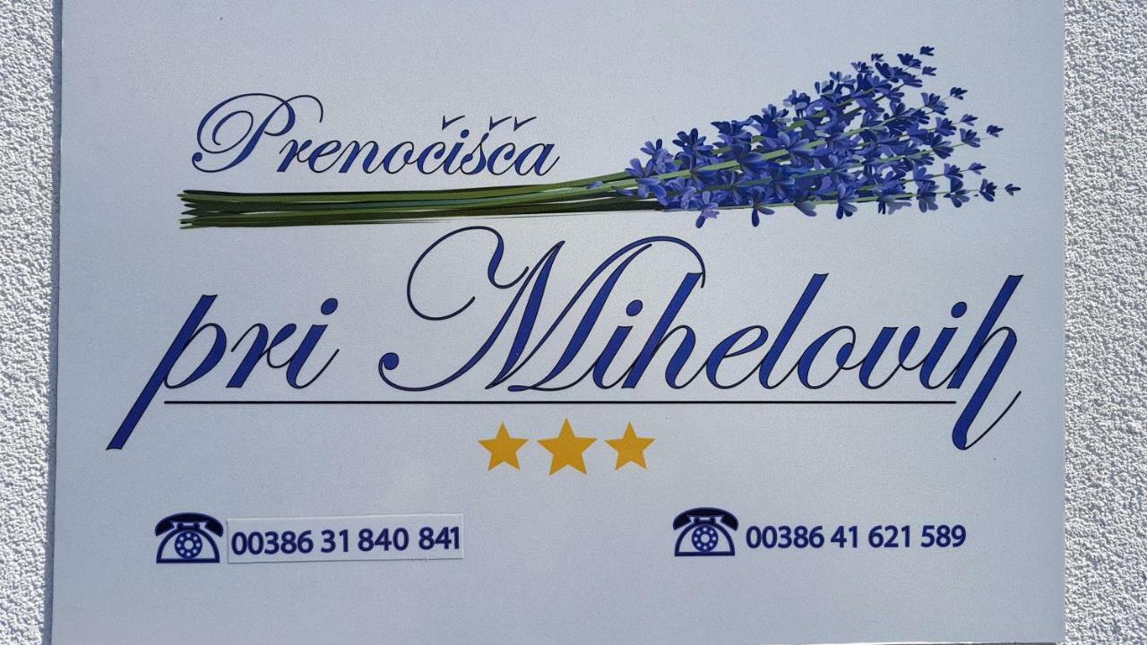 Guesthouse Pri Mihelovih Сежана Екстер'єр фото